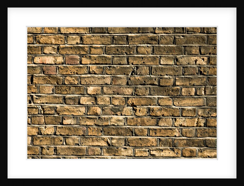 Brick wall by Assaf Frank